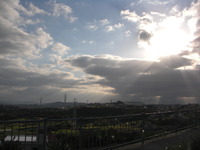 12月のライブ情報♪ 2011/11/23 14:54:20