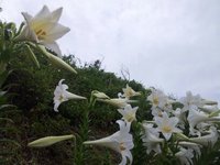 5月のライブスケジュール♪ 2012/05/04 14:09:35