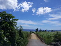 8月のライブスケジュール♪ 2012/07/24 13:17:52