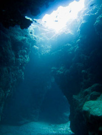 ＬＡＳＴ　ＤＩＶＥ 2009/12/31 16:42:45