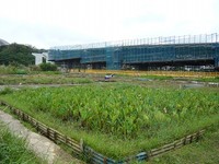 道路が 2010/12/15 13:04:29