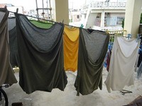洗濯物 2011/06/09 08:06:13