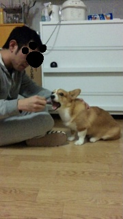 １年たちました。