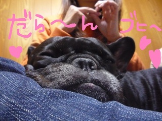 たれてます