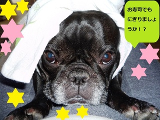 ハチマキしてみました☆