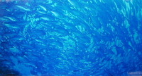 粟国島　ギンガメ爆発 2012/05/29 16:08:17