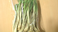 自然の恵み