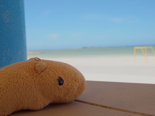 キラキラなあさ（＾＾）