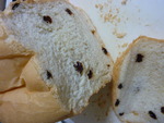 食べつくし