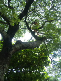 夏休み前半 2010/07/25 21:18:33