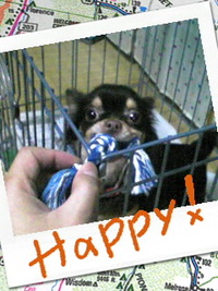 負けましぇんよ！ 2010/04/10 02:19:11