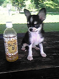 まだまだ… 2009/10/03 18:29:17