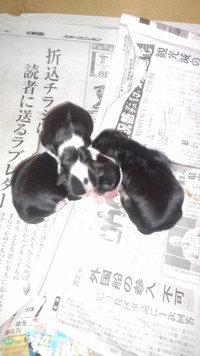 新年！ 2010/01/07 00:50:25