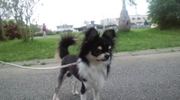 ちびライオン！！！ 2010/07/09 20:26:44