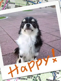 さぁ〜て！ 2010/03/12 11:21:56