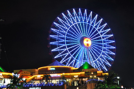 イルミネーションin美浜