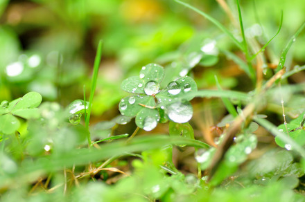 冬の雨