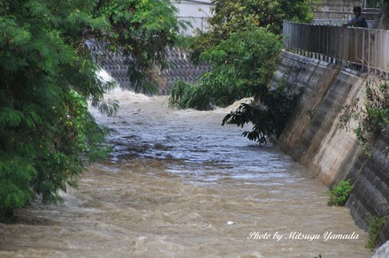 河川に泥水がごーごー