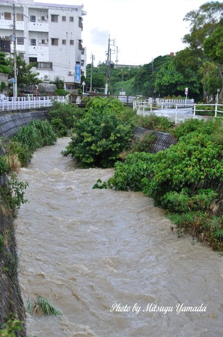 河川に泥水がごーごー