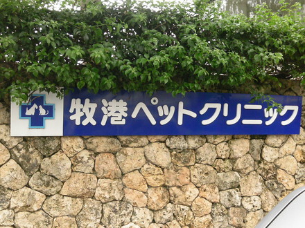 再入院