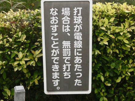 雨でも頑張ったよ