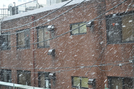 新橋も雪になってきました