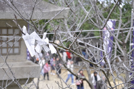 初詣 in 護国神社