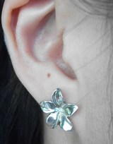 プルメリア：シルバーピアス
