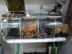 閉店セール！