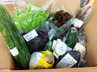 12月沖縄安心野菜便大募集♪お歳暮にもいかがですか？