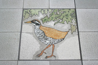 OMOROMATI站