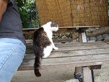 八重山めぐり