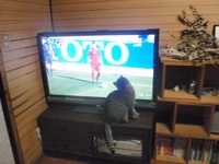 サッカー