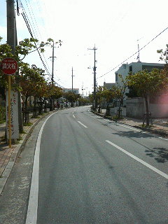 かめ公園