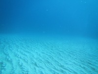 空飛ぶってこのことだったのか！ 2012/11/19 17:35:38