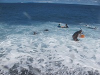 三宅島×御蔵島TOUR報告