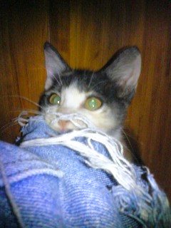 昨日から・・・！