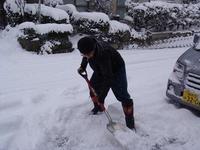 去年の今頃は・・・。