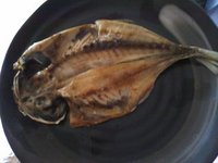 夜ご飯。 2012/09/11 16:40:19