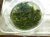 ヨモギ。 2012/09/21 17:20:44