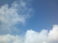 初夏…！？ 2012/03/23 09:49:53