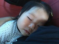 お家へ帰ろう♪ 2012/04/14 12:50:40
