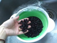 黒豆。 2012/05/28 11:01:18