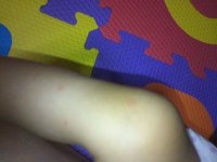 おやっ…？ 2012/06/19 18:23:35