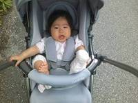 ただいま〜♪ 2012/03/06 11:00:10