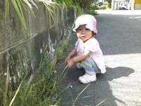 お散歩。 2012/06/27 15:36:56