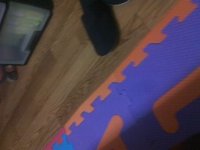 我が家の写真家…？(笑) 2012/07/10 12:38:19