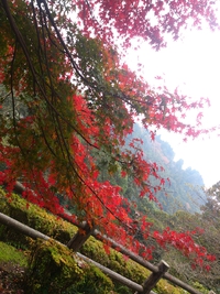 now 2013/12/02 14:15:57