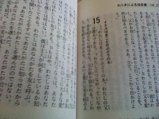 2013年2月17（日）　説教要旨