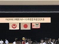 平成30年度沖縄県スポーツ少年団空手道交流大会